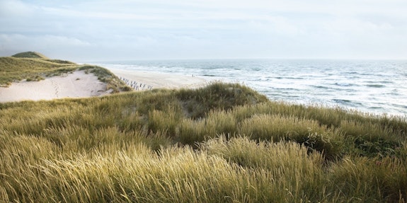 nordsee_Winter.jpeg